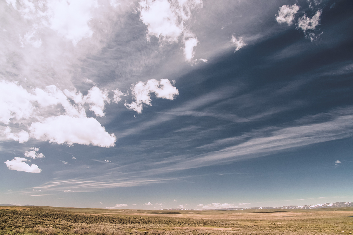Let’s Clear the Air About Point of Sale Operating Systems