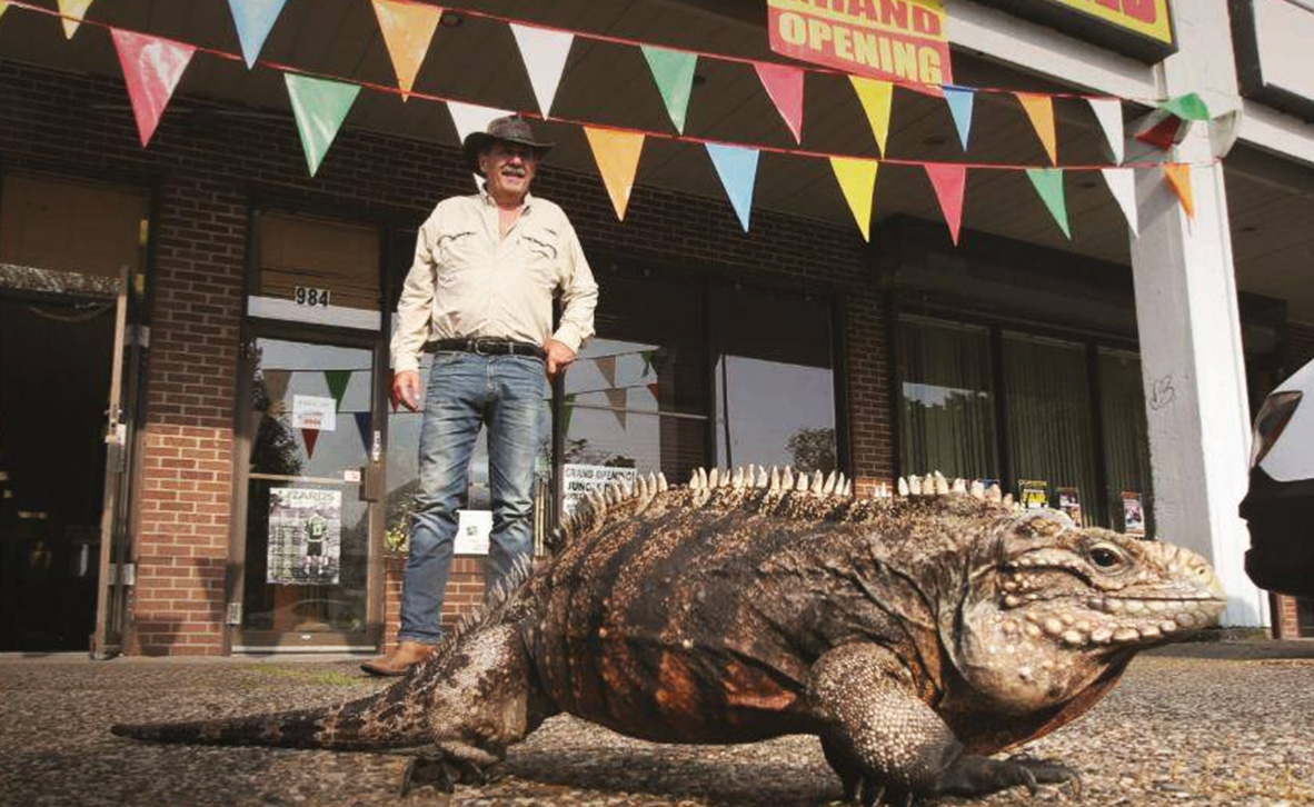 Jungle Bob's Reptile World - Lightspeed