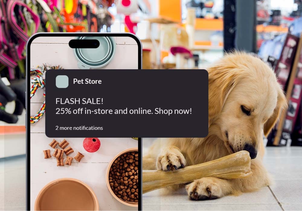 Online pet 2024 food stores