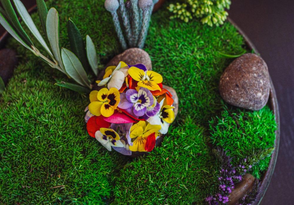 A plate topped with green moss and a small tostada topped with edible flowers