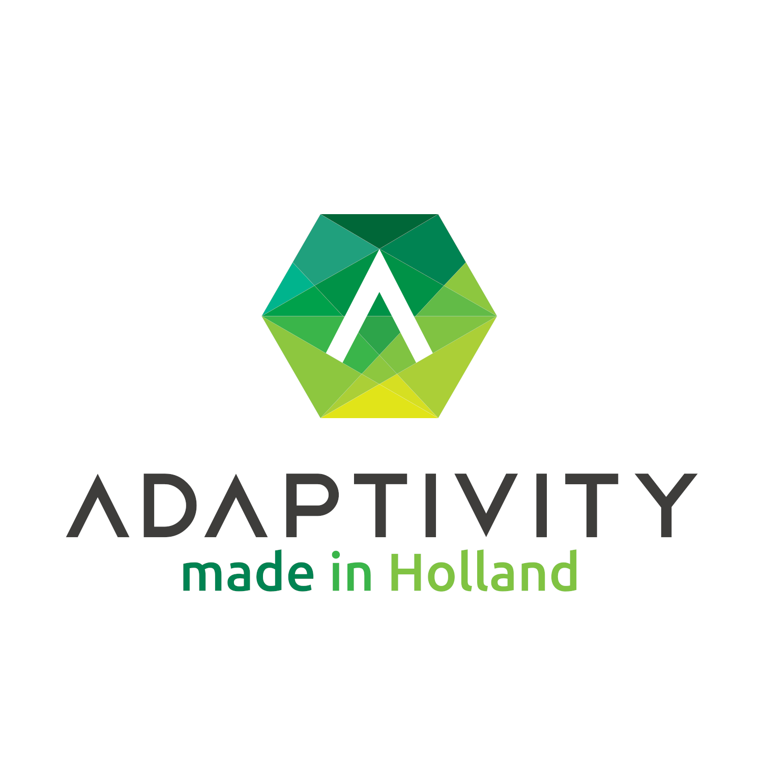 Adaptivity