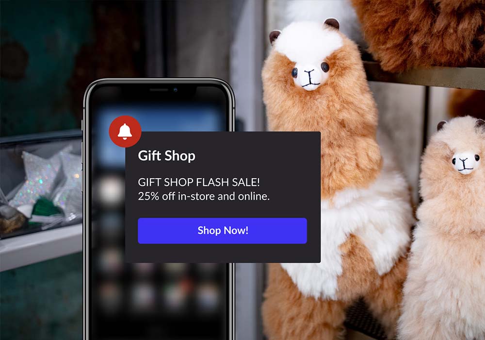 iPhone showing loyalty notification, gift shop in background