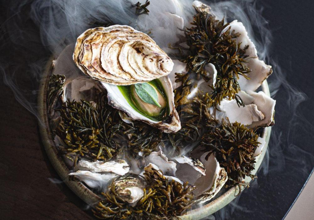 A shallow bowl filled with an oyster with smoke coming from the plate