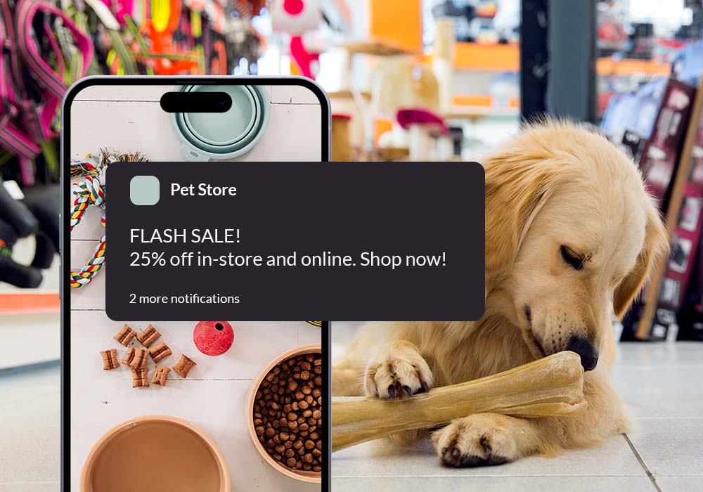 Pet shop in online best sale