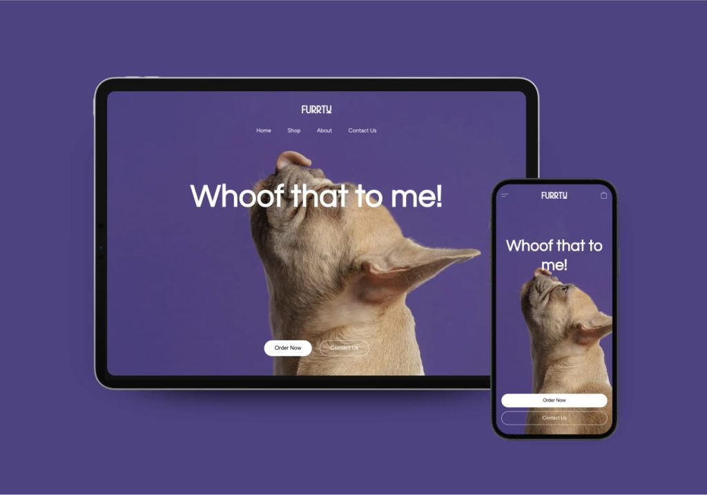Existing website Lightspeed
