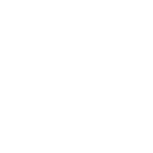 Porteno Lightspeed