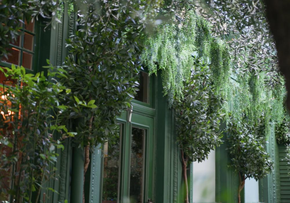 A green building with greenery hanging over the outside